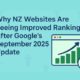 Why NZ websites are improving search rankings small